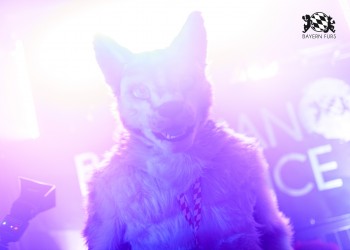 BFD9 0648 von Chaotika