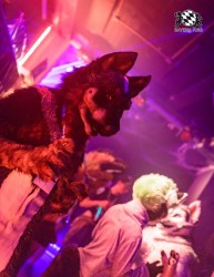 BFD9 0649 von Chaotika