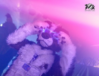 BFD9 0663 von Chaotika