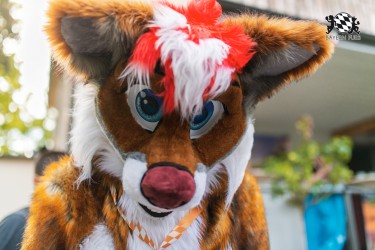 BFD9 0672 von Chaotika