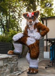 BFD9 0673 von Chaotika