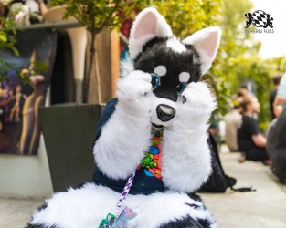 BFD9 0692 von Chaotika