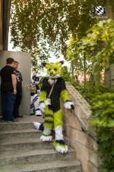 BFD9 0693 von Chaotika