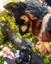 BFD9 0694 von Chaotika