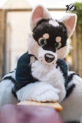 BFD9 0697 von Chaotika