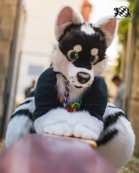 BFD9 0698 von Chaotika