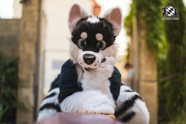 BFD9 0699 von Chaotika