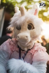 BFD9 0700 von Chaotika