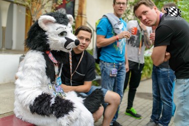 BFD9 0701 von Chaotika