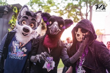 BFD9 0706 von Chaotika