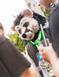 BFD9 0714 von Chaotika