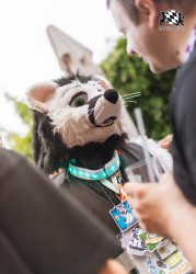 BFD9 0715 von Chaotika