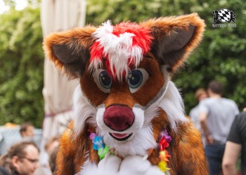 BFD9 0716 von Chaotika