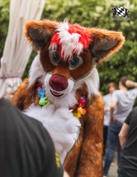 BFD9 0717 von Chaotika