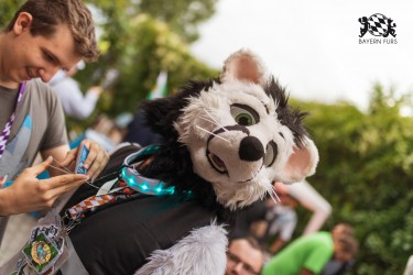 BFD9 0718 von Chaotika