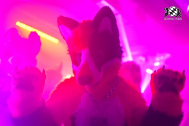 BFD9 0728 von Chaotika