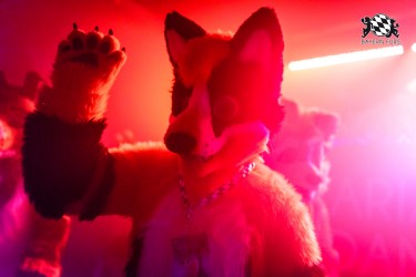 BFD9 0730 von Chaotika