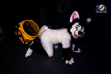 BFD10 0033 von Ryius