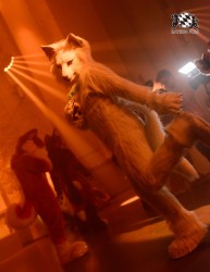 BFD10 0046 von Captain Chaotika