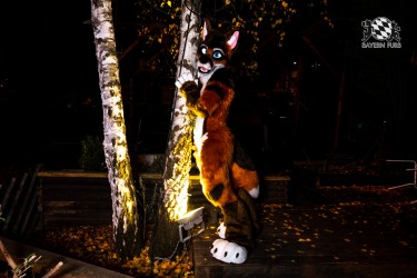 BFD10 0063 von Ryius