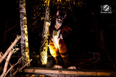 BFD10 0065 von Ryius