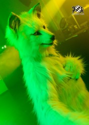 BFD10 0076 von Captain Chaotika