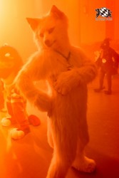 BFD10 0078 von Captain Chaotika