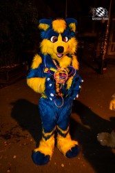 BFD10 0083 von Ryius