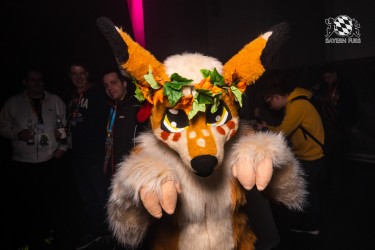 BFD10 0112 von Ryius