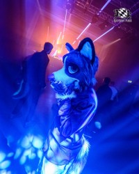 BFD10 0151 von Captain Chaotika