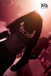 BFD10 0195 von Captain Chaotika