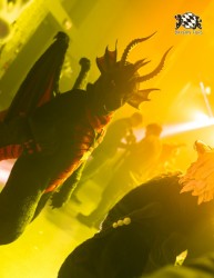 BFD10 0196 von Captain Chaotika