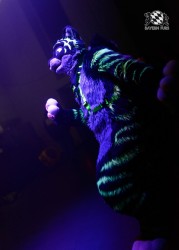 BFD10 0202 von Captain Chaotika