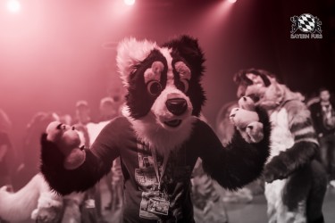 BFD10 0207 von Captain Chaotika