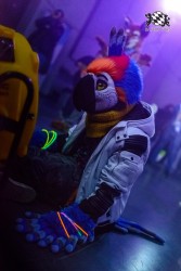 BFD10 0270 von Captain Chaotika