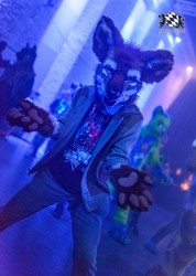 BFD10 0274 von Captain Chaotika