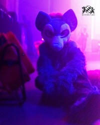 BFD10 0283 von Captain Chaotika