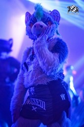 BFD10 0290 von Captain Chaotika