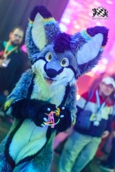 BFD10 0293 von Captain Chaotika