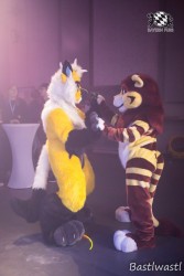 BFD10 0484 von Wachhund