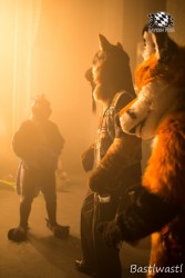 BFD10 0515 von Wachhund