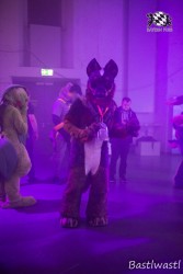 BFD10 0532 von Wachhund