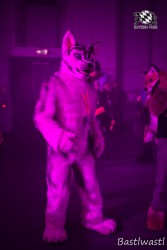 BFD10 0553 von Wachhund