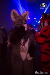 BFD10 0622 von Wachhund