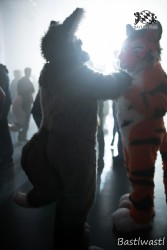 BFD10 0623 von Wachhund