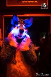 BFD10 0628 von Wachhund