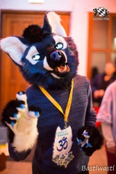 BFD10 0630 von Wachhund