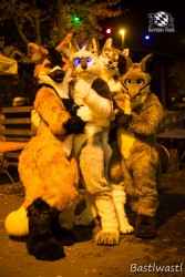 BFD10 0634 von Wachhund