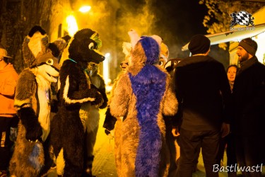 BFD10 0637 von Wachhund