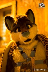 BFD10 0640 von Wachhund